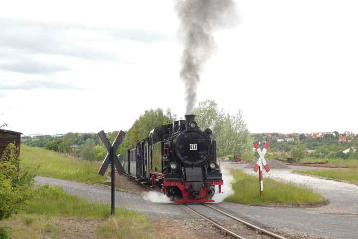 Lok 11 mit normalem „Regelzug“ zurück Richtung Benndorf an der Ausfahrt von Kupferkammerhütte, um 15:46h am 29.05.2025 Lok 11 mit normalem „Regelzug“ zurück Richtung Benndorf an der Ausfahrt von Kupferkammerhütte, um 15:46h am 29.05.2025