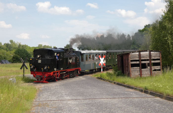 Lok 11 Tv mit Sonderzug im Fahrplan des Samstags-Regelzuges, aus Richtung Benndorf kommend an der Einfahrt von Kupferkammerhütte, um 15:33h am 31.05.2025 Lok 11 Tv mit Sonderzug im Fahrplan des Samstags-Regelzuges, aus Richtung Benndorf kommend an der Einfahrt von Kupferkammerhütte, um 15:33h am 31.05.2025
