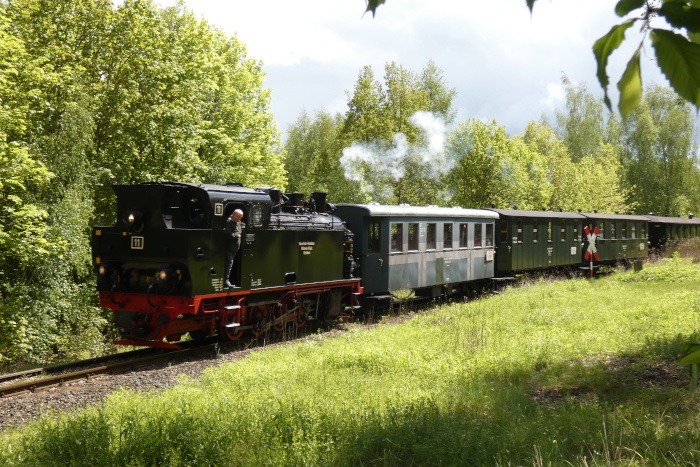 Lok&nbsp;11&nbsp;Tv mit Infozug aus Benndorf am kleinen Wanderweg-Bahnübergang am Wald kurz vor Einfahrt Hettstedt-Kupferkammerhütte, um 12:37h am 14.05.2026