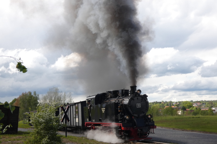 Lok&nbsp;11&nbsp; mit Infozug zurück von Hettstedt-Kupferkammerhütte nach Benndorf	am oberen Ende der Steigung von Kupferkammerhütte heraus und kurz vor Haltepunkt Eduardschacht, um 13:24h am 14.05.2026