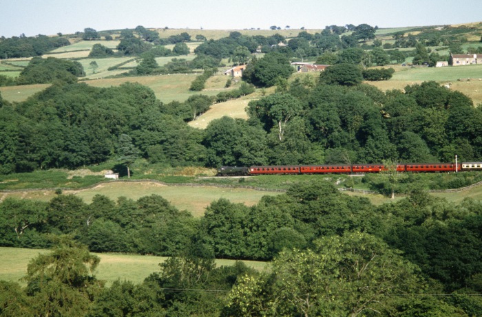 80135 Tv mit Zug aus Pickering abwärts farend bei Green End, um 17:20h am 28.07.2006. 80135 Tv mit Zug aus Pickering abwärts farend bei Green End, um 17:20h am 28.07.2006.